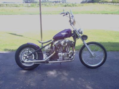 2002 Sportster Bobber