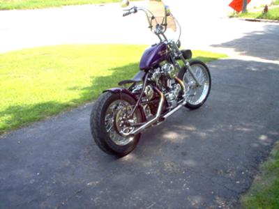 Rigid Sportster Bobber