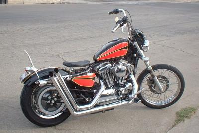 2004 Sportster Custom