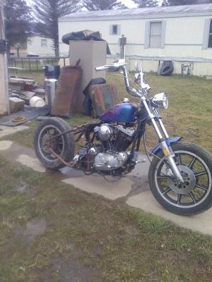 Hardtail Ironhead