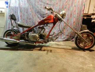 Custom mini online chopper