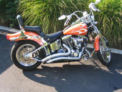 2004 Springer