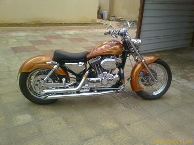 Custom Sportster 1200