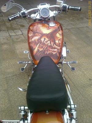 Sportster Custom