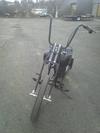 Springer front end