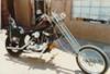 Chopped Sporty