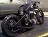 Parking Lot Bobber