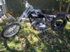Triumph Chopper