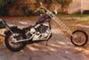 1979 Sportster Chopper